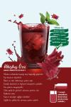 Berry Hibisküs Özü %100 Doğal 640 Gr